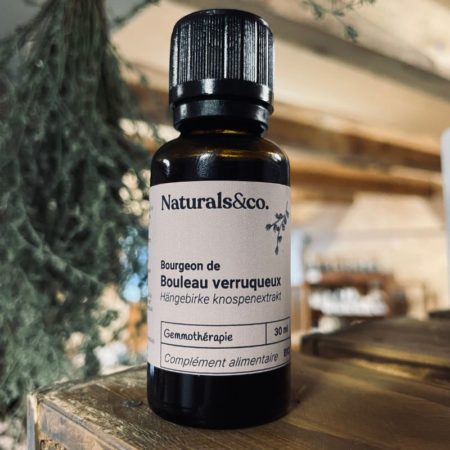 Bourgeon de Bouleau verruqueux BIO - Gemmothérapie - Naturals&co