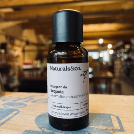 Bourgeon de Séquoia BIO - Gemmothérapie - Naturals&co