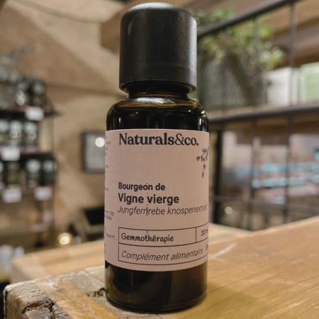Bourgeon de Vigne vierge - Gemmothérapie - Naturals&co - Naturalsandco